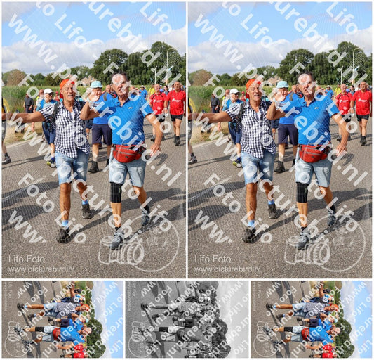 Evenement foto: Nijmeegse Vierdaagse 917