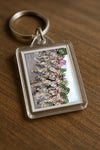 Evenement foto: Nijmeegse Vierdaagse 917