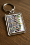 Evenement foto: Nijmeegse Vierdaagse 917