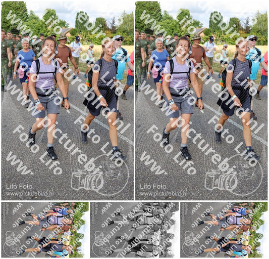 Evenement foto: Nijmeegse Vierdaagse 917