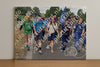 Evenement foto: Nijmeegse Vierdaagse 917