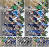 Evenement foto: Nijmeegse Vierdaagse 917
