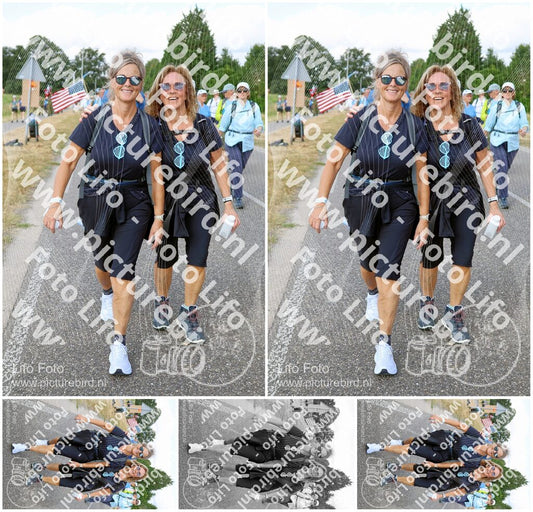 Evenement foto: Nijmeegse Vierdaagse 917