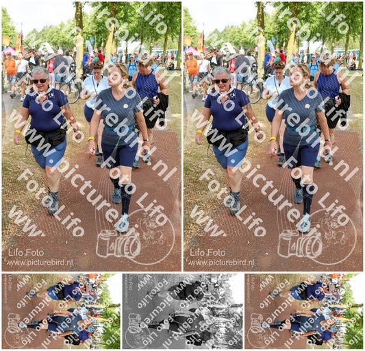 Evenement foto: Nijmeegse Vierdaagse 916