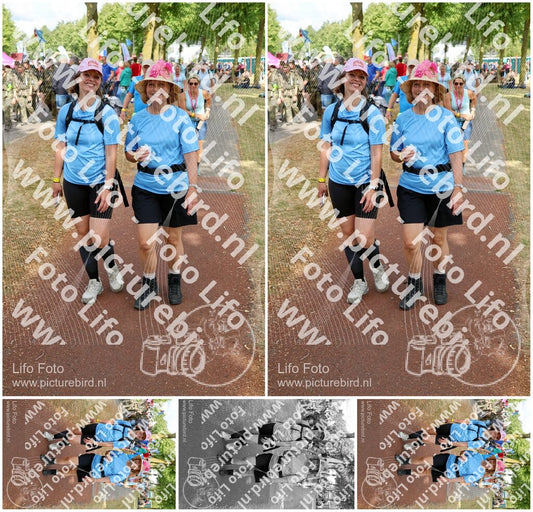 Evenement foto: Nijmeegse Vierdaagse 916