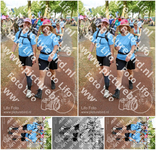 Evenement foto: Nijmeegse Vierdaagse 916