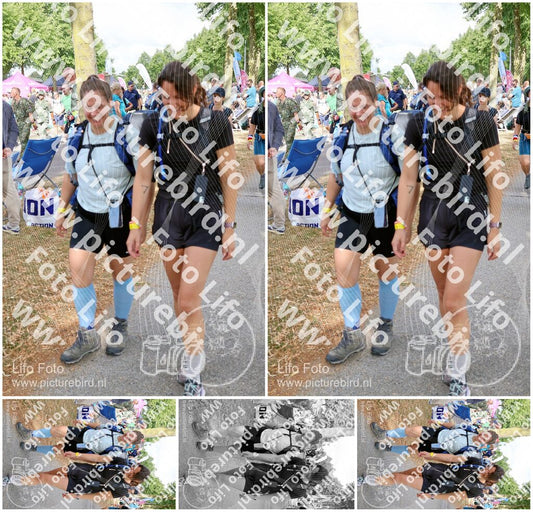 Evenement foto: Nijmeegse Vierdaagse 916
