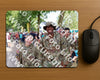 Evenement foto: Nijmeegse Vierdaagse 916
