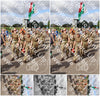 Evenement foto: Nijmeegse Vierdaagse 916