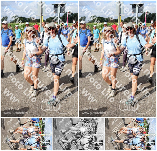 Evenement foto: Nijmeegse Vierdaagse 916