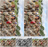 Evenement foto: Nijmeegse Vierdaagse 916