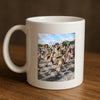 Evenement foto: Nijmeegse Vierdaagse 916