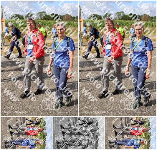 Evenement foto: Nijmeegse Vierdaagse 916