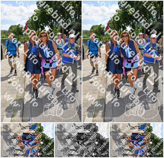 Evenement foto: Nijmeegse Vierdaagse 915