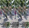 Evenement foto: Nijmeegse Vierdaagse 915