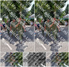 Evenement foto: Nijmeegse Vierdaagse 915