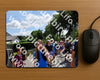 Evenement foto: Nijmeegse Vierdaagse 915