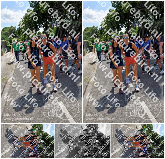 Evenement foto: Nijmeegse Vierdaagse 915