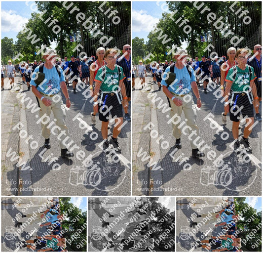 Evenement foto: Nijmeegse Vierdaagse 915