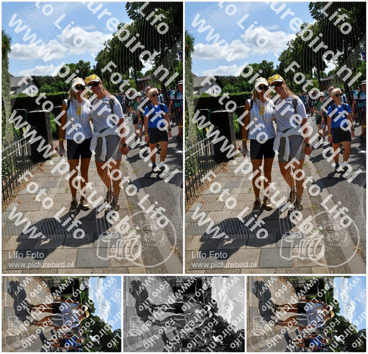 Evenement foto: Nijmeegse Vierdaagse 915