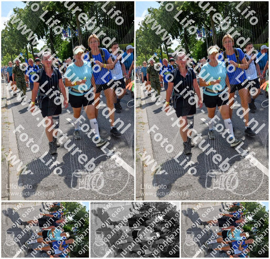 Evenement foto: Nijmeegse Vierdaagse 915