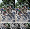 Evenement foto: Nijmeegse Vierdaagse 915