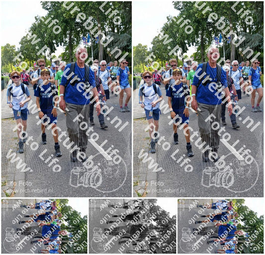 Evenement foto: Nijmeegse Vierdaagse 915