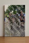 Evenement foto: Nijmeegse Vierdaagse 915