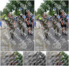 Evenement foto: Nijmeegse Vierdaagse 915