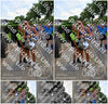 Evenement foto: Nijmeegse Vierdaagse 915
