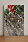 Evenement foto: Nijmeegse Vierdaagse 915