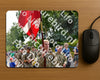 Evenement foto: Nijmeegse Vierdaagse 915