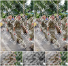 Evenement foto: Nijmeegse Vierdaagse 915