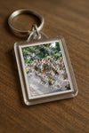 Evenement foto: Nijmeegse Vierdaagse 915