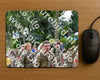 Evenement foto: Nijmeegse Vierdaagse 915