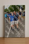 Evenement foto: Nijmeegse Vierdaagse 914