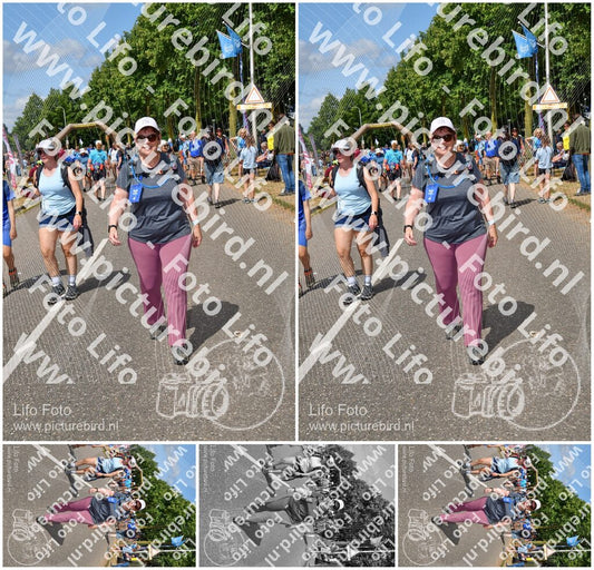 Evenement foto: Nijmeegse Vierdaagse 914