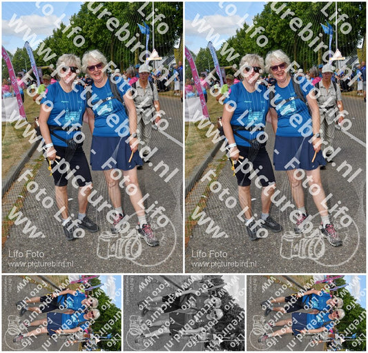 Evenement foto: Nijmeegse Vierdaagse 914