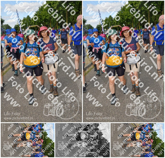Evenement foto: Nijmeegse Vierdaagse 914