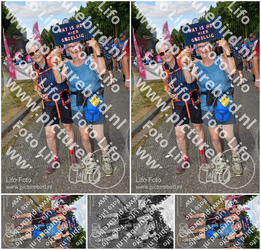 Evenement foto: Nijmeegse Vierdaagse 914