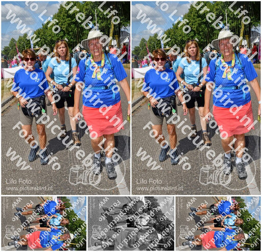 Evenement foto: Nijmeegse Vierdaagse 914