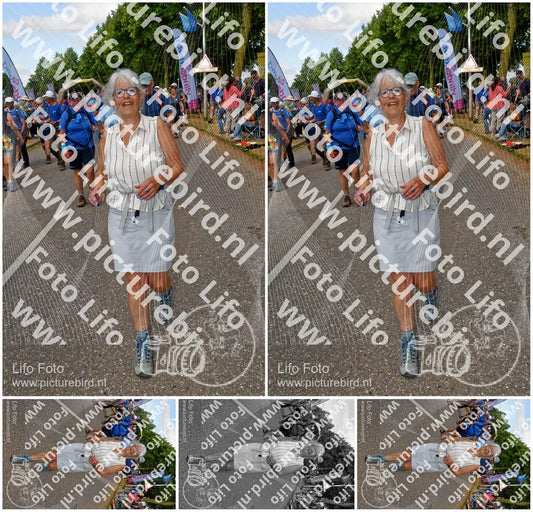 Evenement foto: Nijmeegse Vierdaagse 913