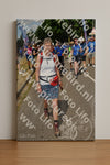 Evenement foto: Nijmeegse Vierdaagse 913