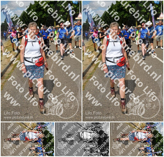 Evenement foto: Nijmeegse Vierdaagse 913