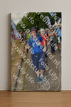 Evenement foto: Nijmeegse Vierdaagse 913