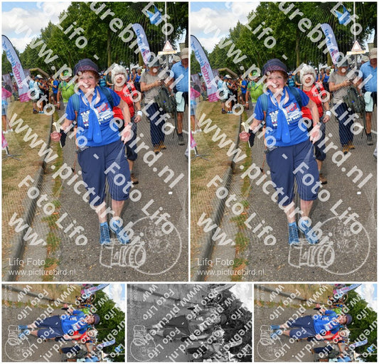 Evenement foto: Nijmeegse Vierdaagse 913