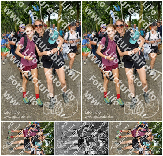 Evenement foto: Nijmeegse Vierdaagse 913