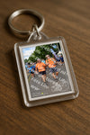 Evenement foto: Nijmeegse Vierdaagse 913