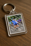 Evenement foto: Nijmeegse Vierdaagse 913