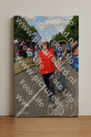Evenement foto: Nijmeegse Vierdaagse 913